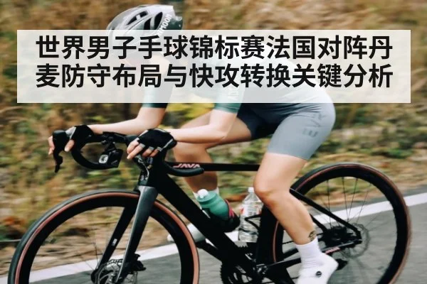 世界男子手球锦标赛法国对阵丹麦防守布局与快攻转换关键分析